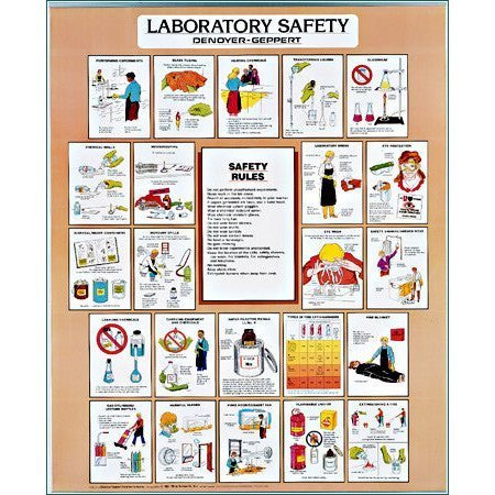 DENOYER-GEPPERT Charts/Posters, Lab Safety Chart Mounted pack of 3 2027-12